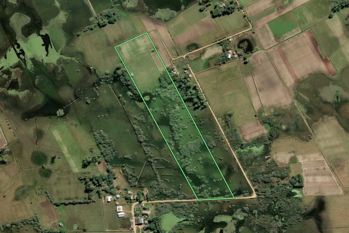 Imagem de satélite do imóvel rural em São José do Norte (RS), com o contorno declarado no CAR desenhado por cima.
