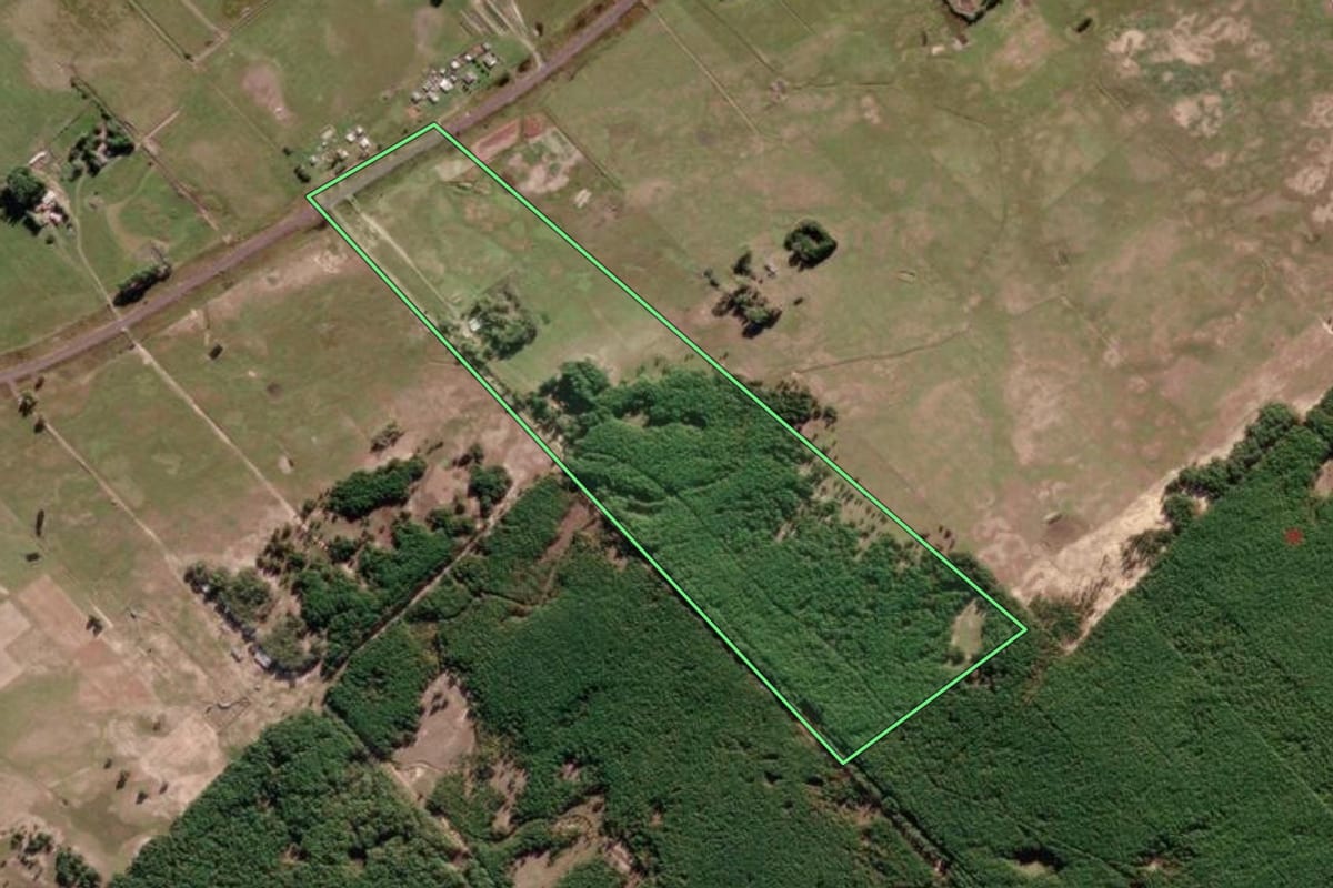 Imagem de satélite do imóvel rural em São José do Norte (RS), com o contorno declarado no CAR desenhado por cima.