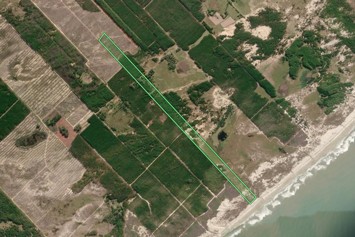 Imagem de satélite do imóvel rural em São José do Norte (RS), com o contorno declarado no CAR desenhado por cima.