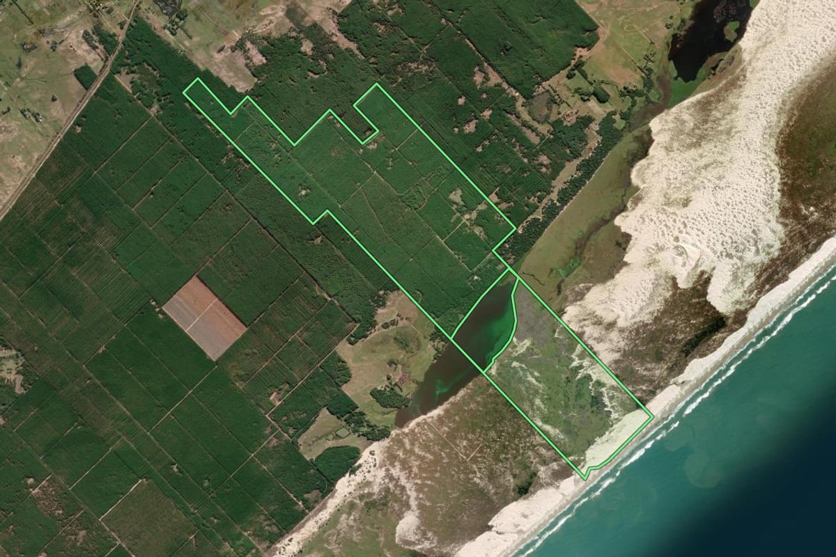 Imagem de satélite do imóvel rural em São José do Norte (RS), com o contorno declarado no CAR desenhado por cima.