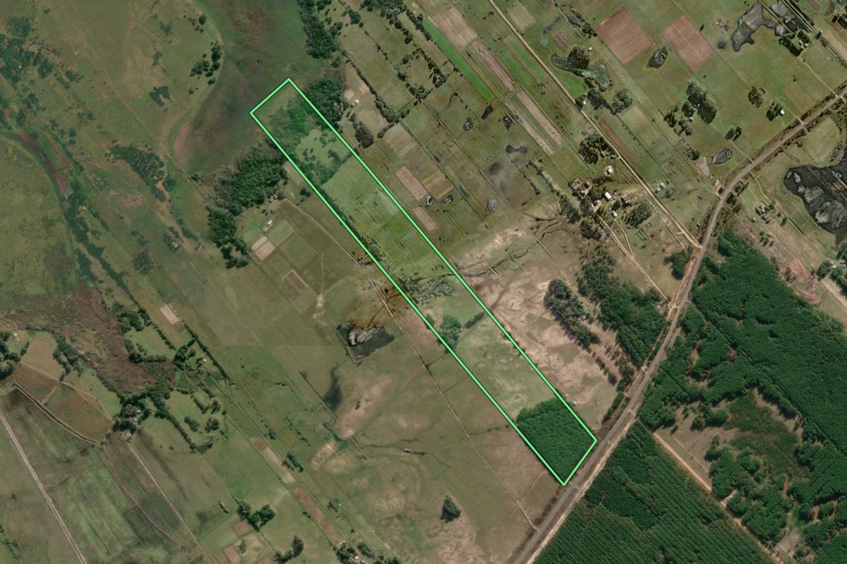 Imagem de satélite do imóvel rural em São José do Norte (RS), com o contorno declarado no CAR desenhado por cima.