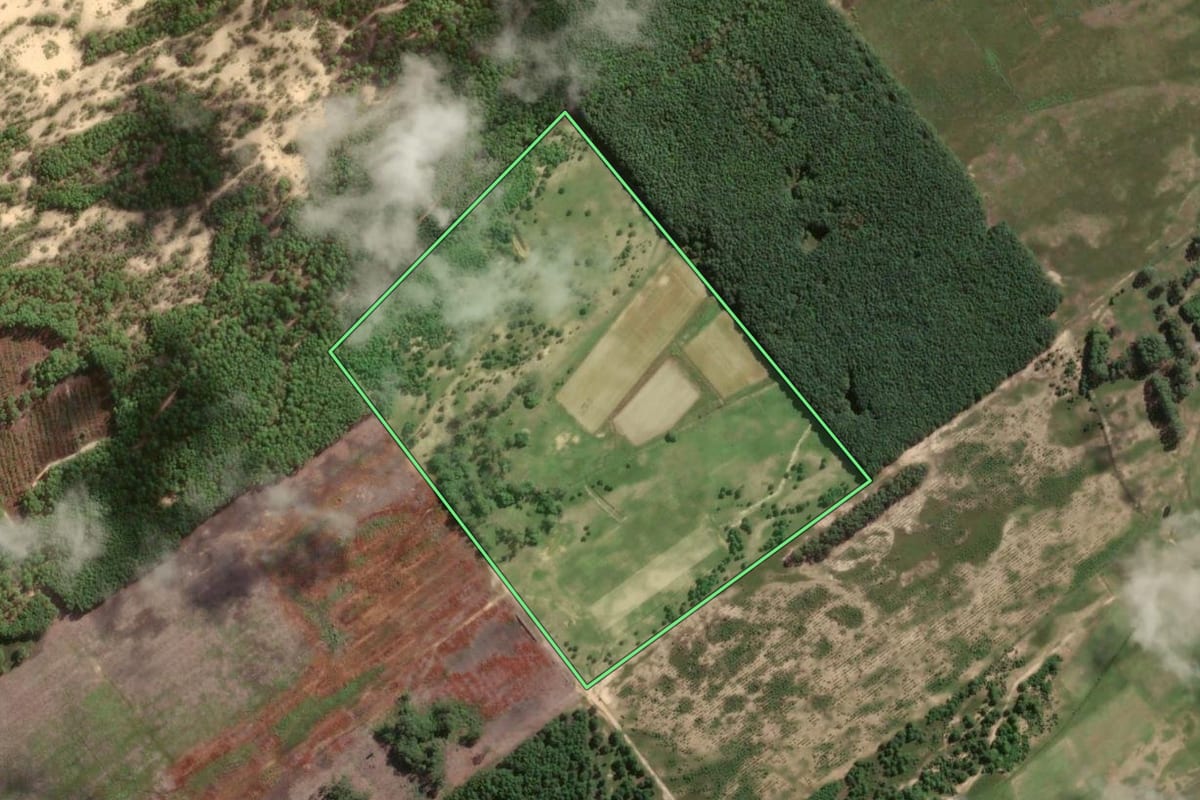 Imagem de satélite do imóvel rural em São José do Norte (RS), com o contorno declarado no CAR desenhado por cima.