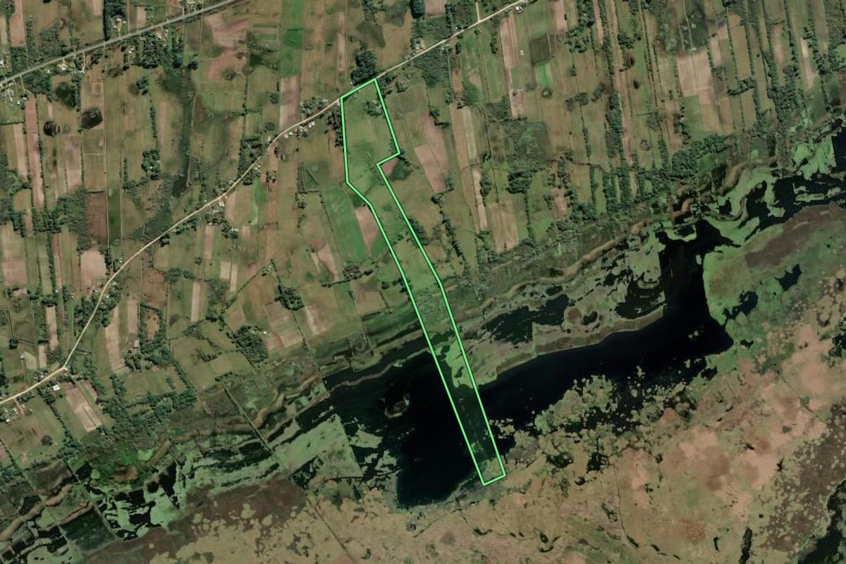 Imagem de satélite do imóvel rural em São José do Norte (RS), com o contorno declarado no CAR desenhado por cima.