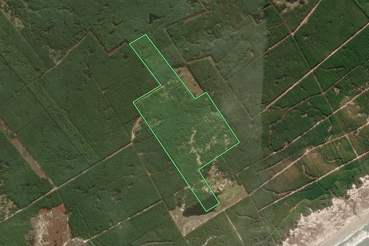 Imagem de satélite do imóvel rural em São José do Norte (RS), com o contorno declarado no CAR desenhado por cima.