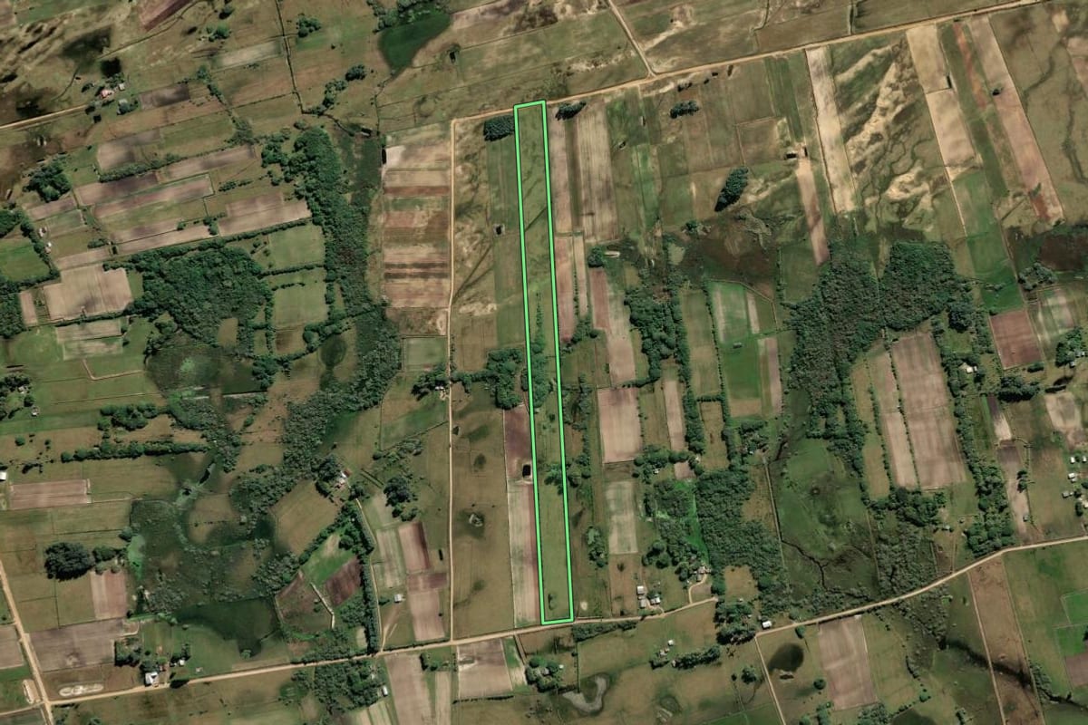 Imagem de satélite do imóvel rural em São José do Norte (RS), com o contorno declarado no CAR desenhado por cima.