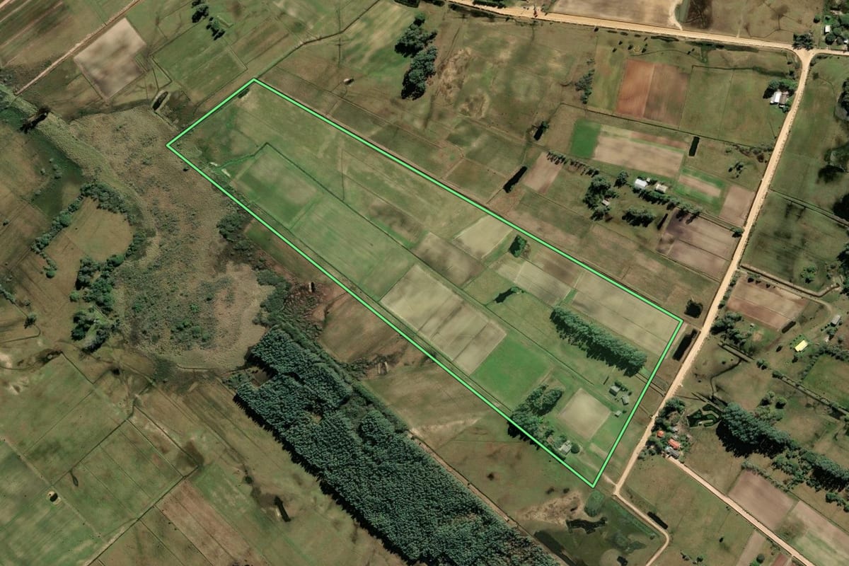 Imagem de satélite do imóvel rural em São José do Norte (RS), com o contorno declarado no CAR desenhado por cima.