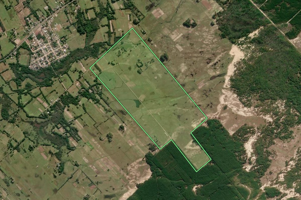 Imagem de satélite do imóvel rural em São José do Norte (RS), com o contorno declarado no CAR desenhado por cima.
