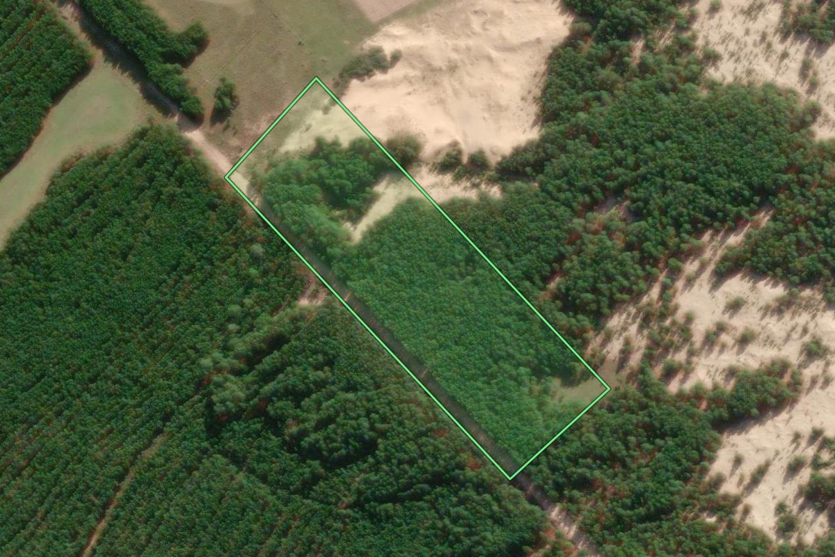 Imagem de satélite do imóvel rural em São José do Norte (RS), com o contorno declarado no CAR desenhado por cima.