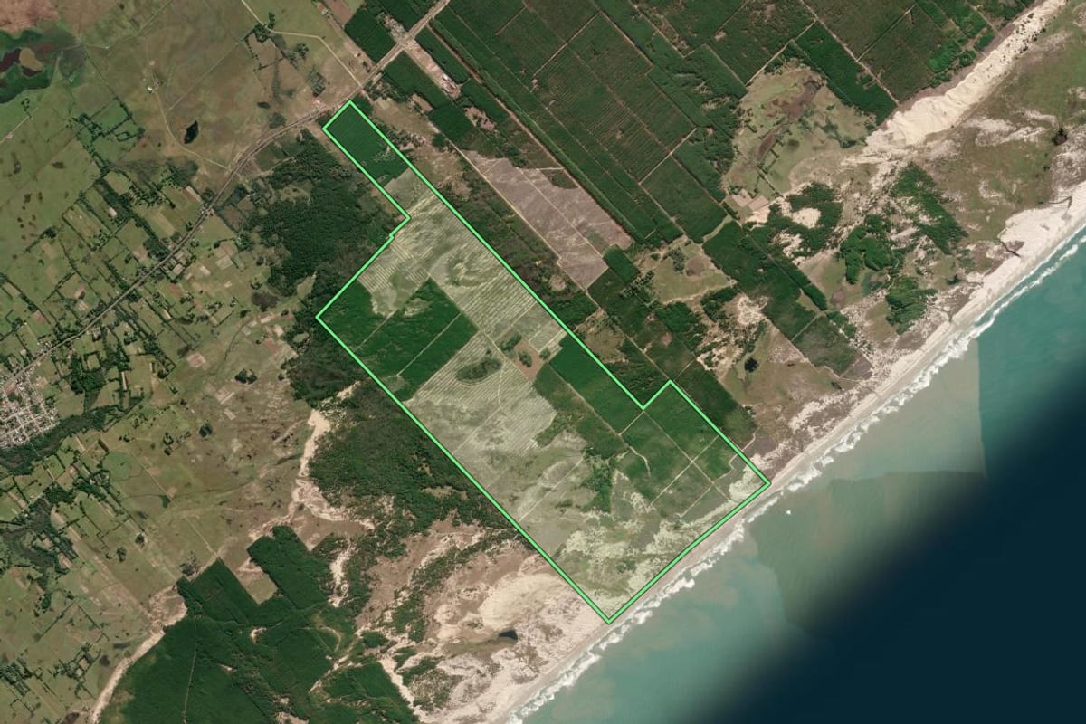 Imagem de satélite do imóvel rural em São José do Norte (RS), com o contorno declarado no CAR desenhado por cima.