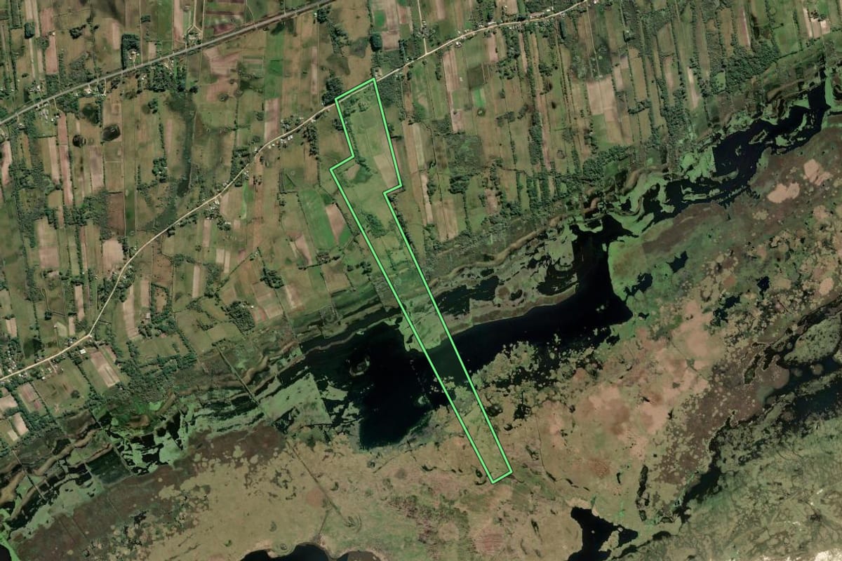 Imagem de satélite do imóvel rural em São José do Norte (RS), com o contorno declarado no CAR desenhado por cima.