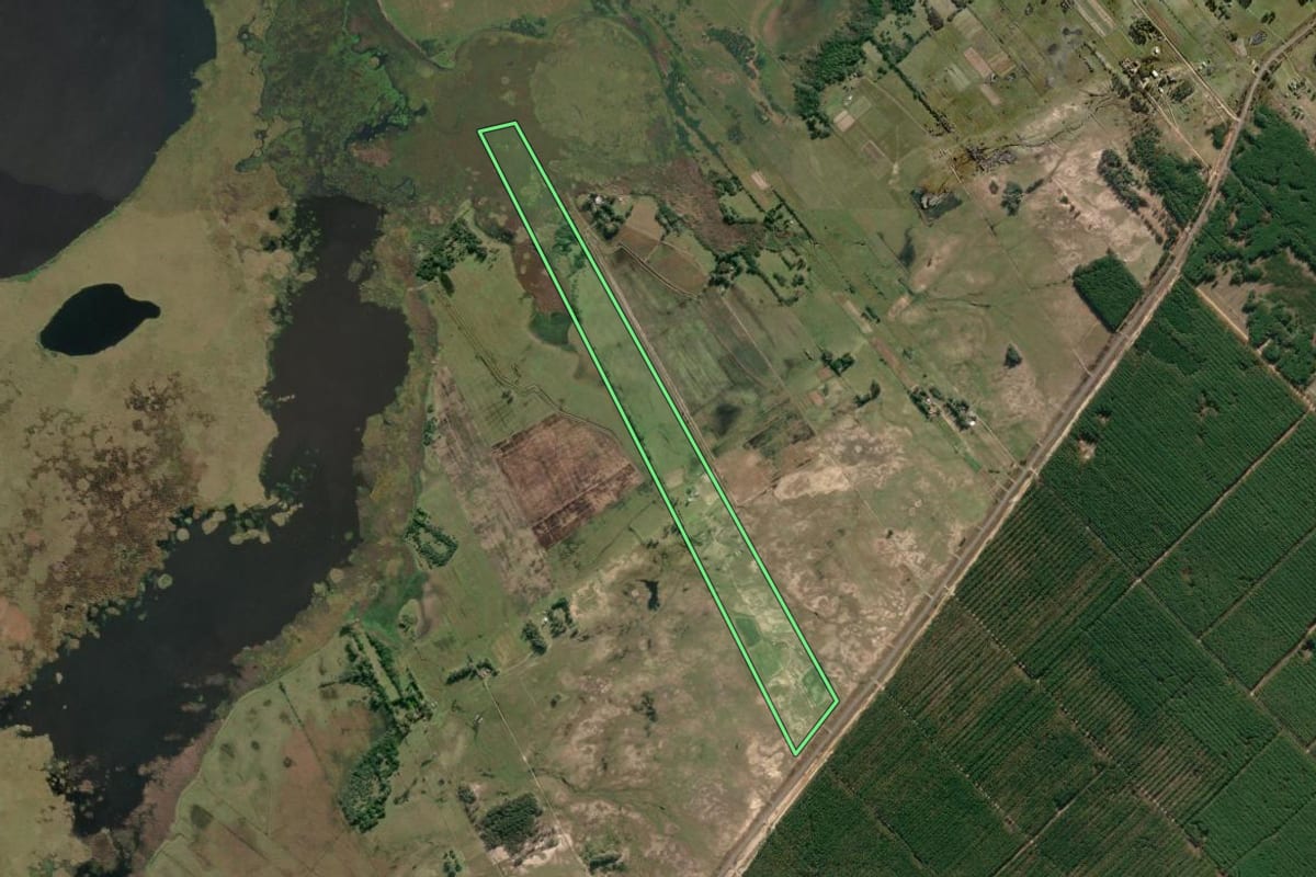 Imagem de satélite do imóvel rural em São José do Norte (RS), com o contorno declarado no CAR desenhado por cima.