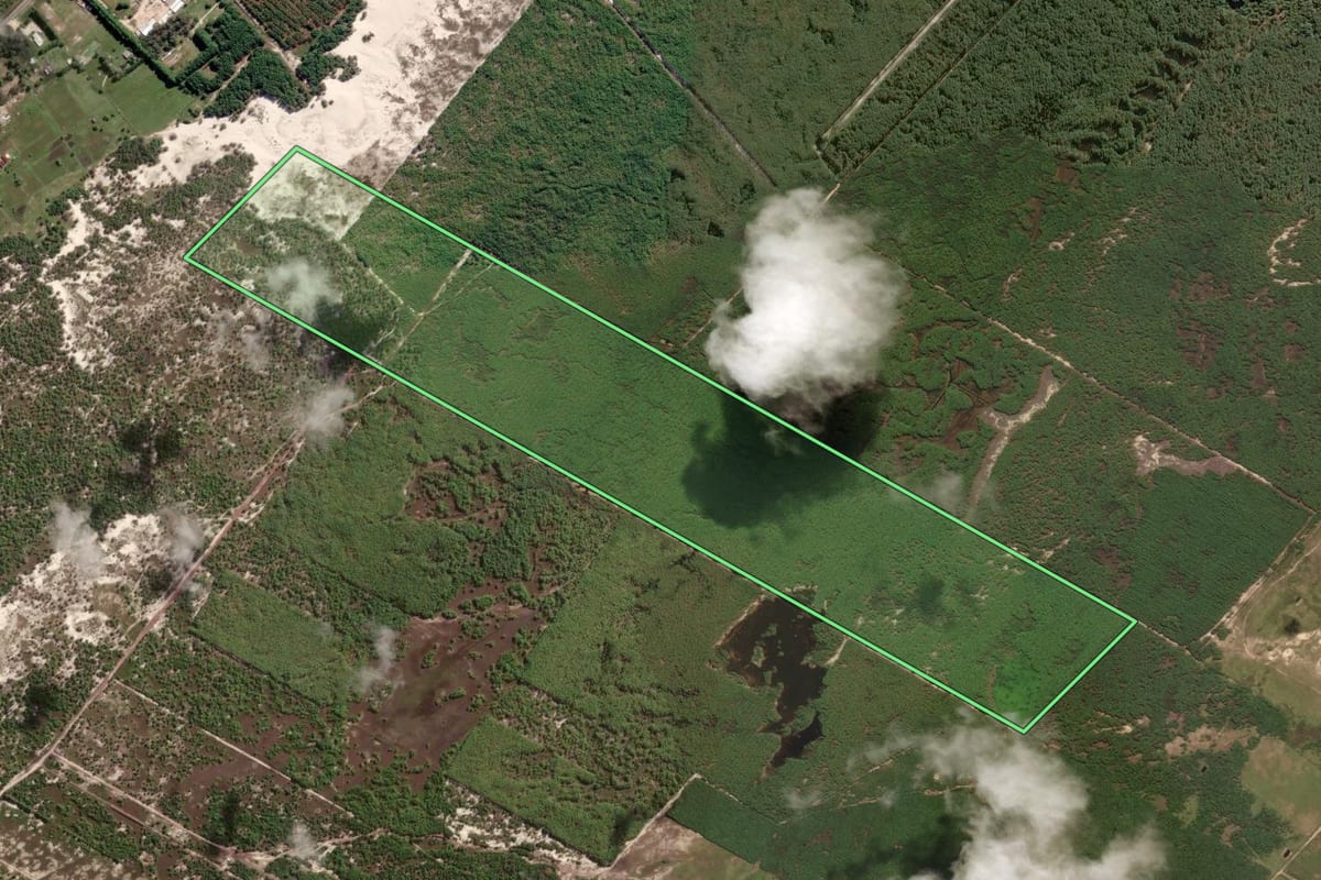 Imagem de satélite do imóvel rural em São José do Norte (RS), com o contorno declarado no CAR desenhado por cima.