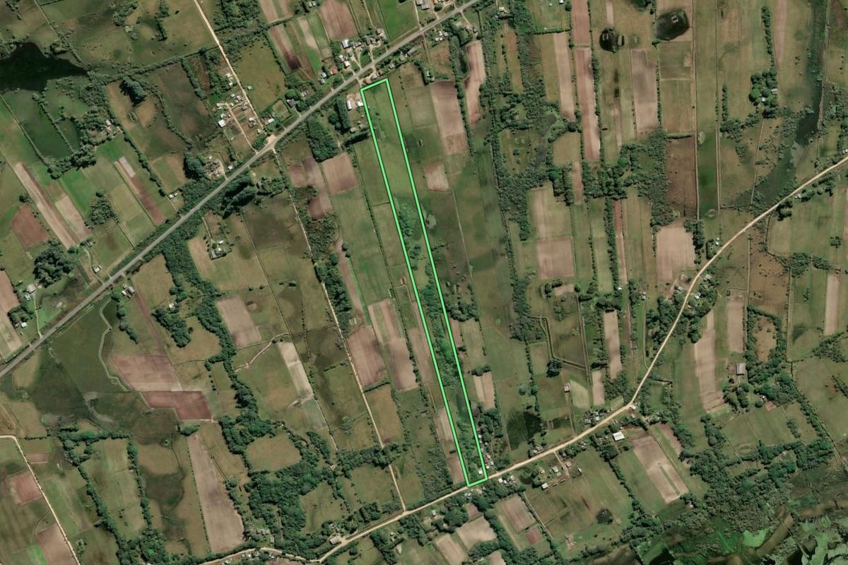 Imagem de satélite do imóvel rural em São José do Norte (RS), com o contorno declarado no CAR desenhado por cima.