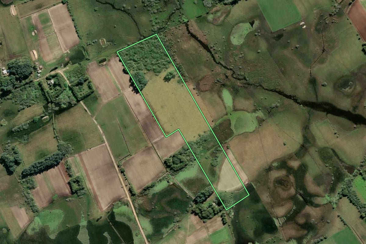Imagem de satélite do imóvel rural em São José do Norte (RS), com o contorno declarado no CAR desenhado por cima.