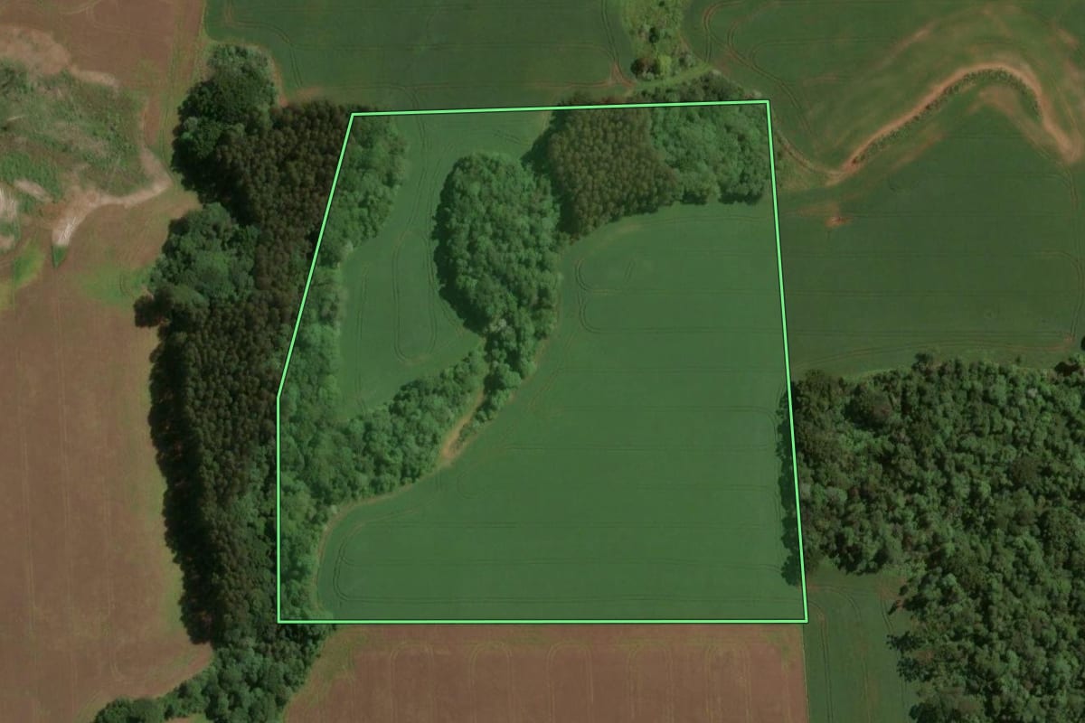 Imagem de satélite do imóvel rural em São José do Ouro (RS), com o contorno declarado no CAR desenhado por cima.
