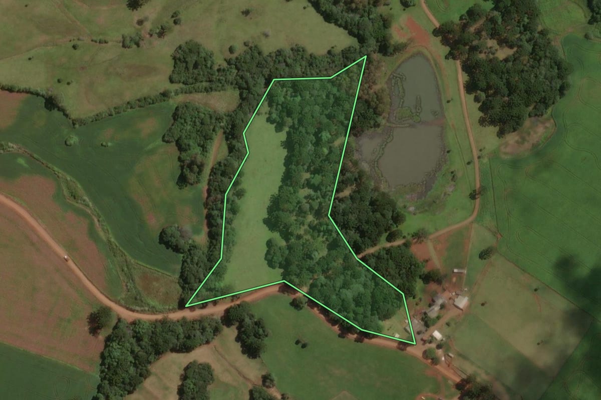 Imagem de satélite do imóvel rural em São José do Ouro (RS), com o contorno declarado no CAR desenhado por cima.