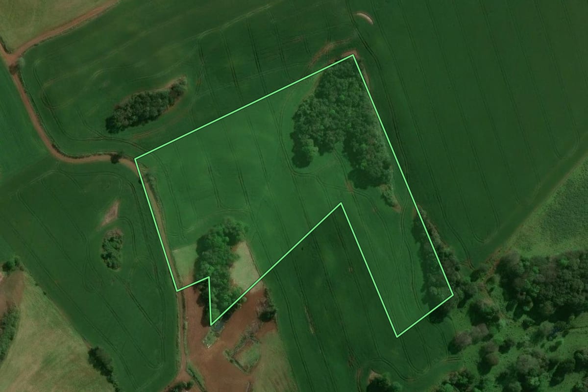 Imagem de satélite do imóvel rural em São José do Ouro (RS), com o contorno declarado no CAR desenhado por cima.