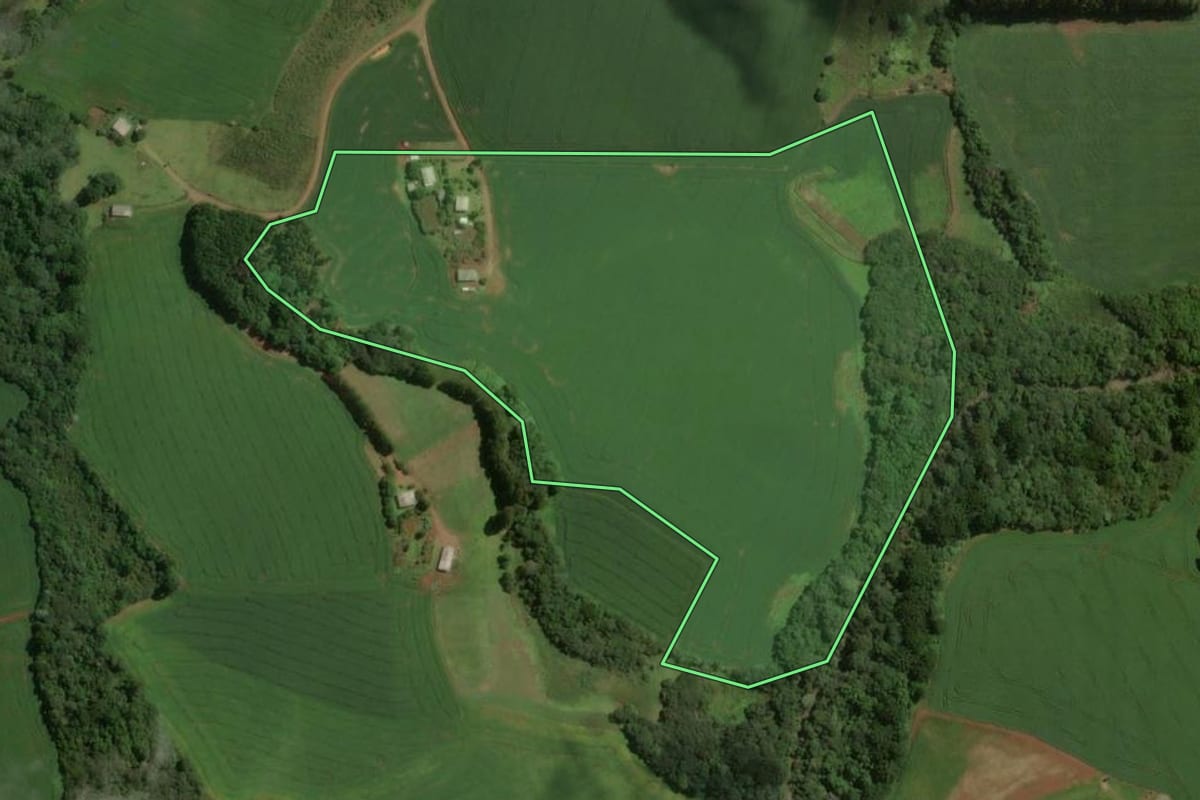 Imagem de satélite do imóvel rural em São José do Ouro (RS), com o contorno declarado no CAR desenhado por cima.