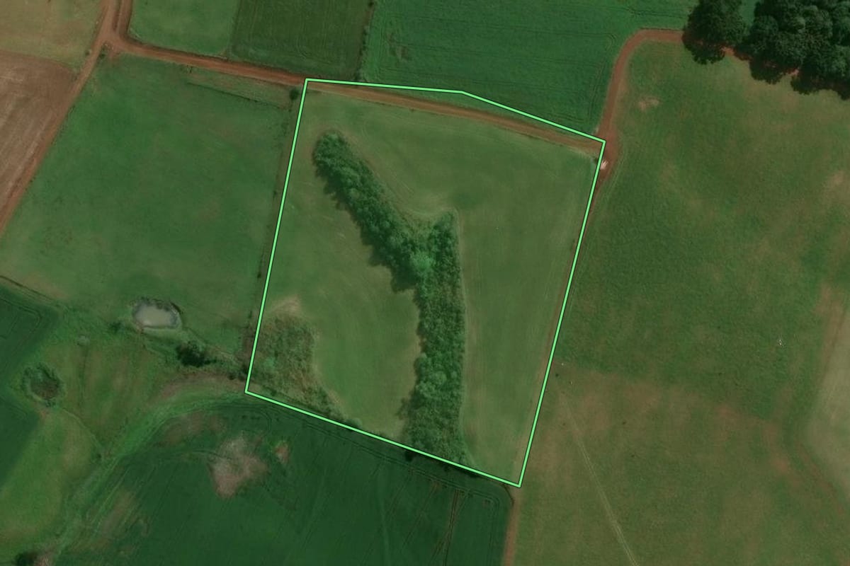Imagem de satélite do imóvel rural em São José do Ouro (RS), com o contorno declarado no CAR desenhado por cima.