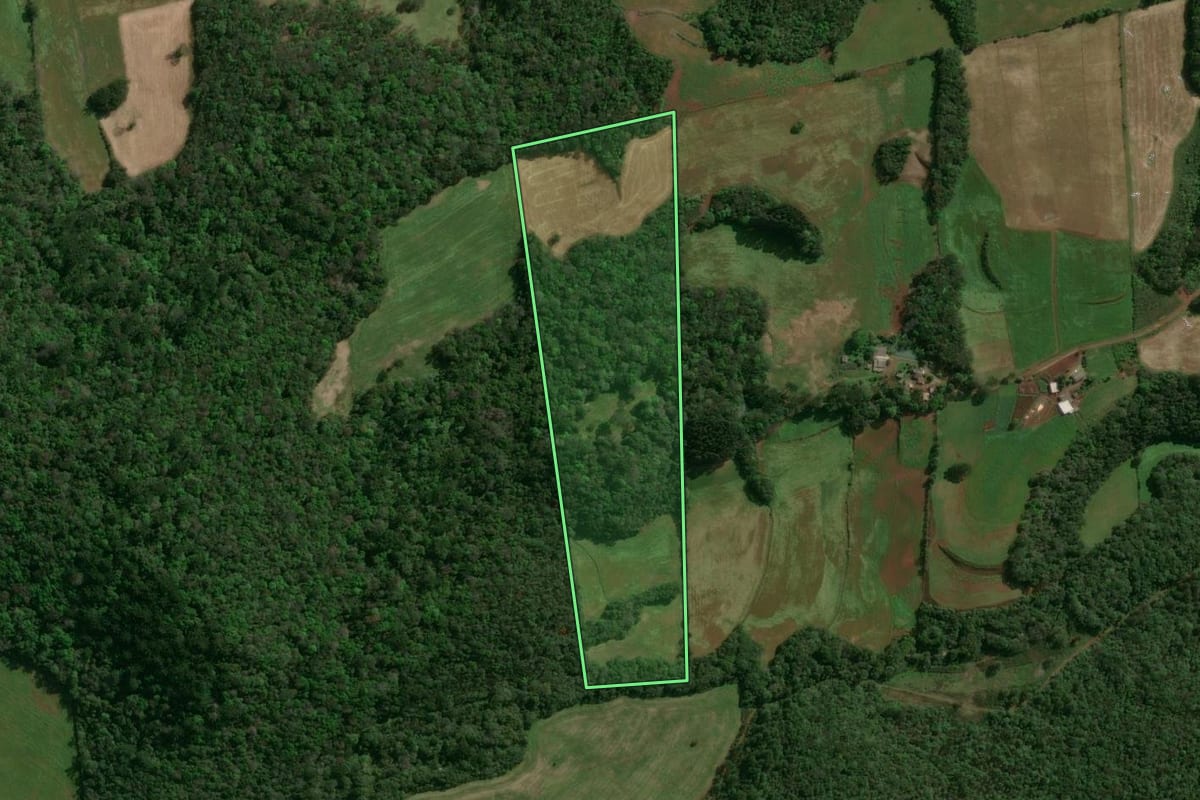 Imagem de satélite do imóvel rural em São José do Ouro (RS), com o contorno declarado no CAR desenhado por cima.