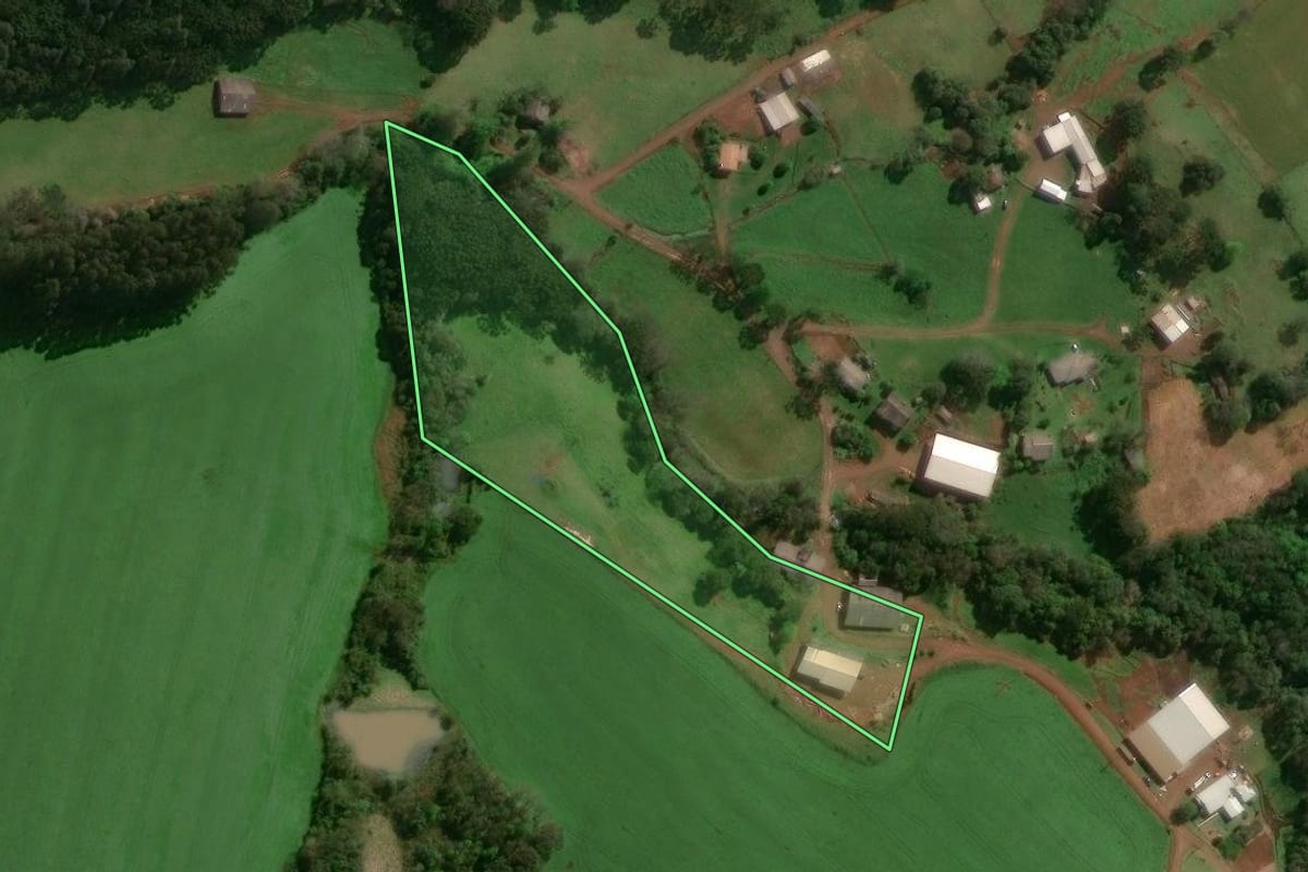 Imagem de satélite do imóvel rural em São José do Ouro (RS), com o contorno declarado no CAR desenhado por cima.