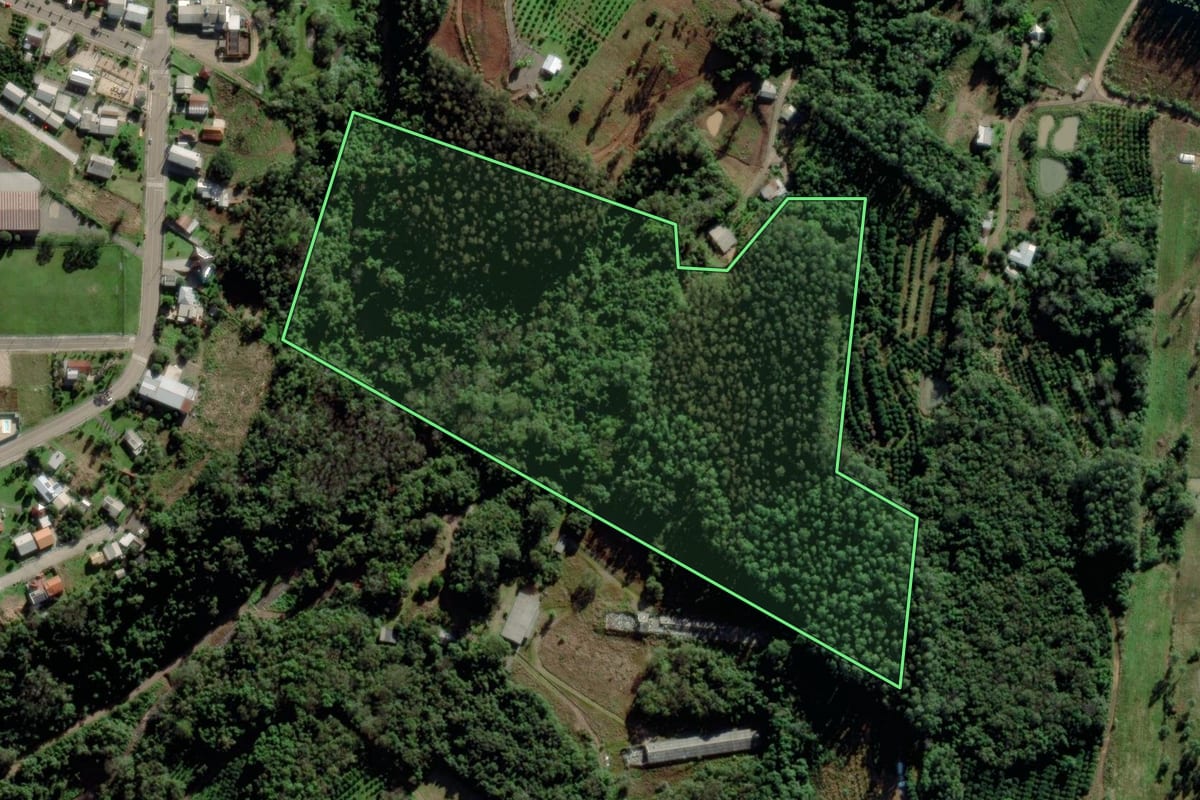 Imagem de satélite do imóvel rural em São José do Sul (RS), com o contorno declarado no CAR desenhado por cima.