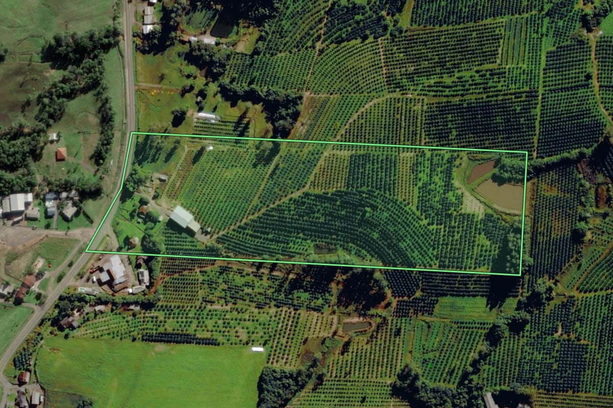 Imagem de satélite do imóvel rural em São José do Sul (RS), com o contorno declarado no CAR desenhado por cima.