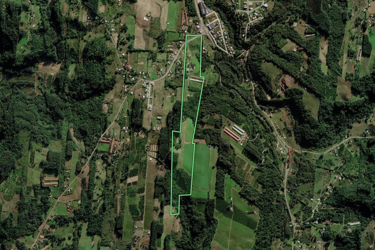 Imagem de satélite do imóvel rural em São José do Sul (RS), com o contorno declarado no CAR desenhado por cima.