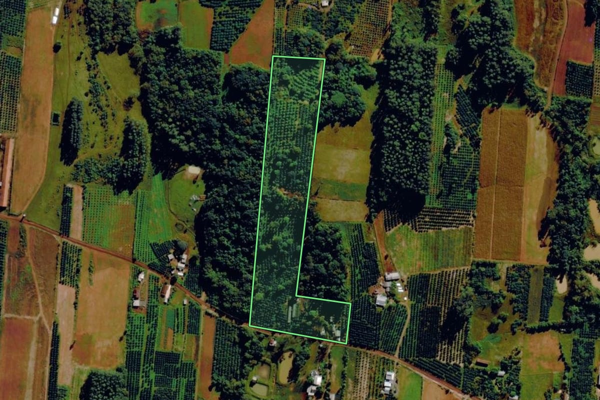 Imagem de satélite do imóvel rural em Harmonia (RS), com o contorno declarado no CAR desenhado por cima.