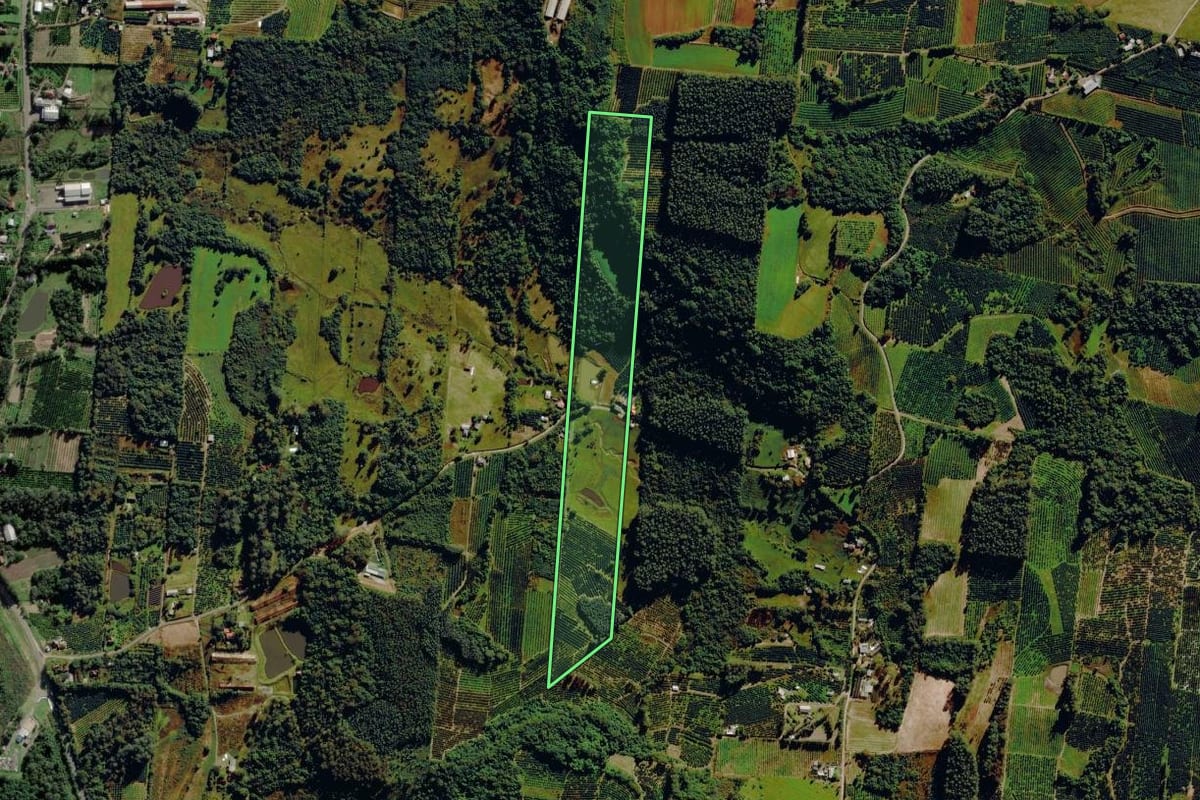 Imagem de satélite do imóvel rural em São José do Sul (RS), com o contorno declarado no CAR desenhado por cima.