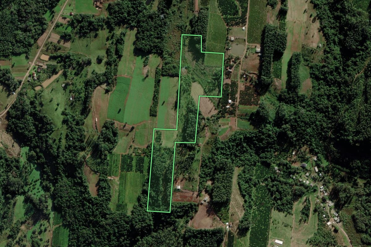 Imagem de satélite do imóvel rural em São José do Sul (RS), com o contorno declarado no CAR desenhado por cima.
