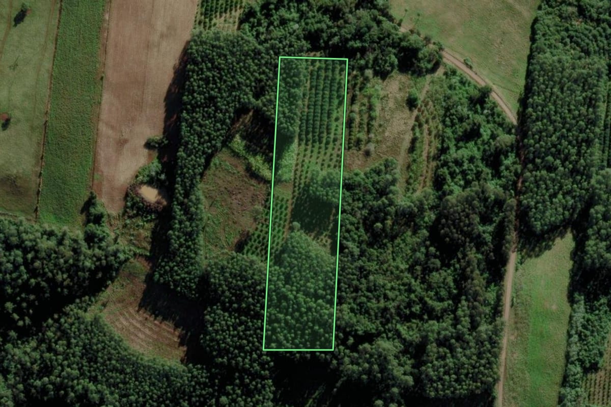 Imagem de satélite do imóvel rural em São José do Sul (RS), com o contorno declarado no CAR desenhado por cima.