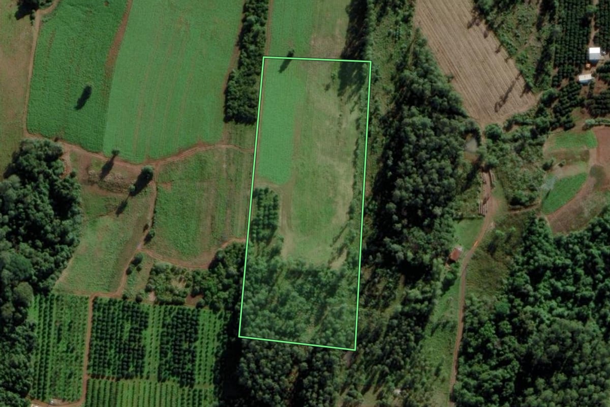 Imagem de satélite do imóvel rural em São José do Sul (RS), com o contorno declarado no CAR desenhado por cima.