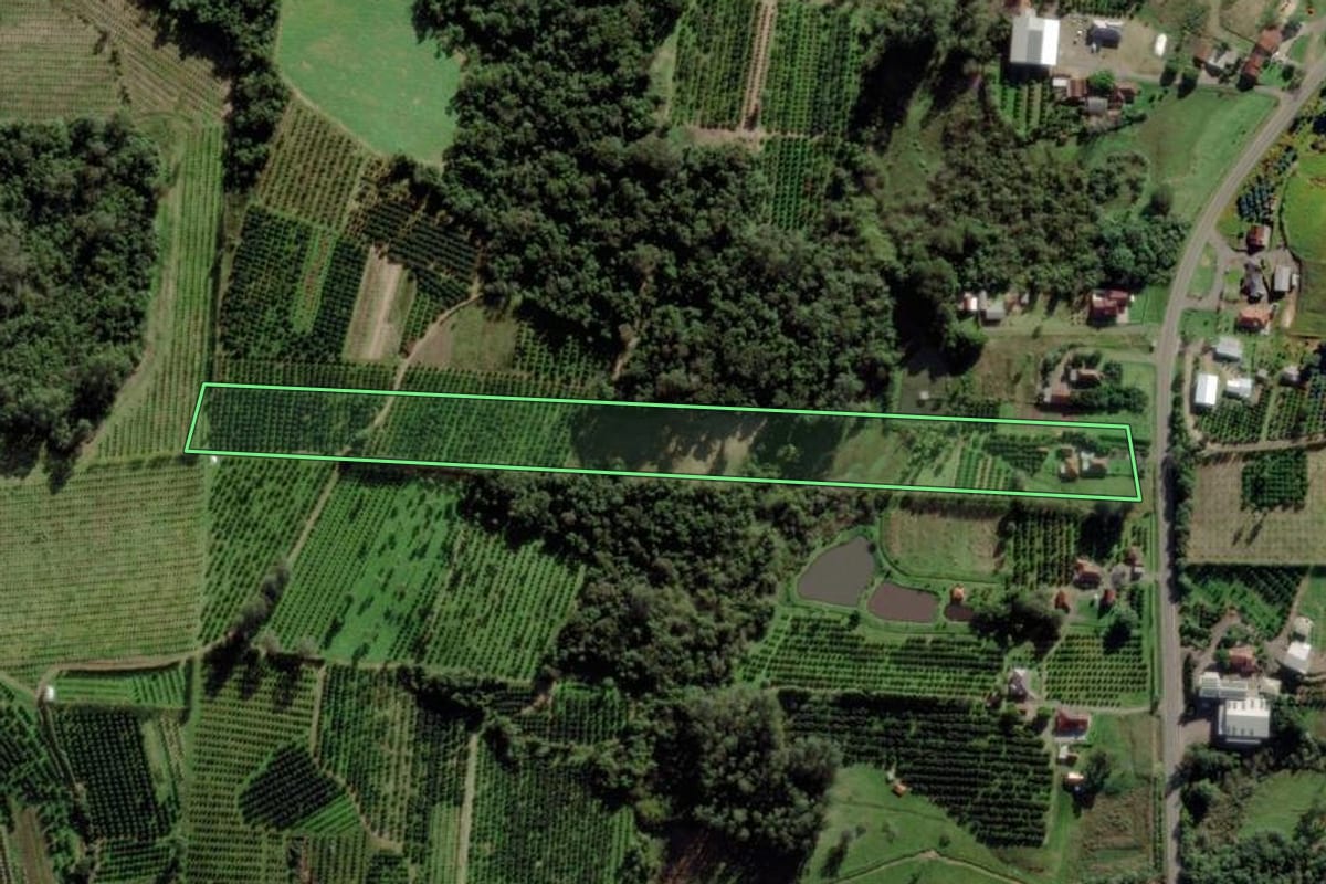 Imagem de satélite do imóvel rural em São José do Sul (RS), com o contorno declarado no CAR desenhado por cima.