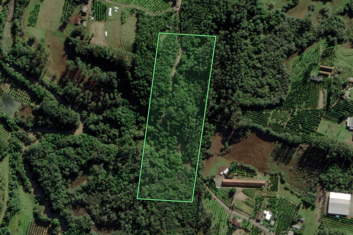 Imagem de satélite do imóvel rural em São José do Sul (RS), com o contorno declarado no CAR desenhado por cima.