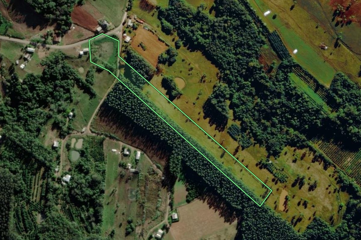 Imagem de satélite do imóvel rural em São José do Sul (RS), com o contorno declarado no CAR desenhado por cima.