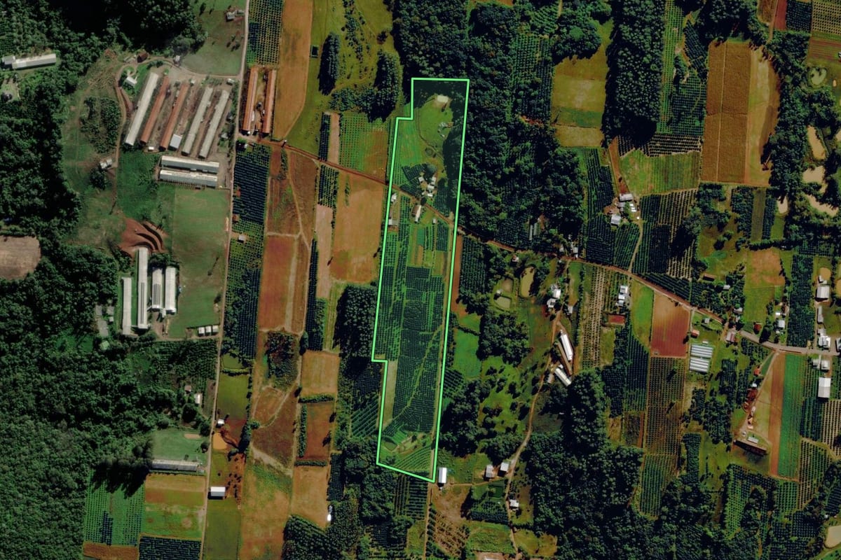 Imagem de satélite do imóvel rural em São José do Sul (RS), com o contorno declarado no CAR desenhado por cima.