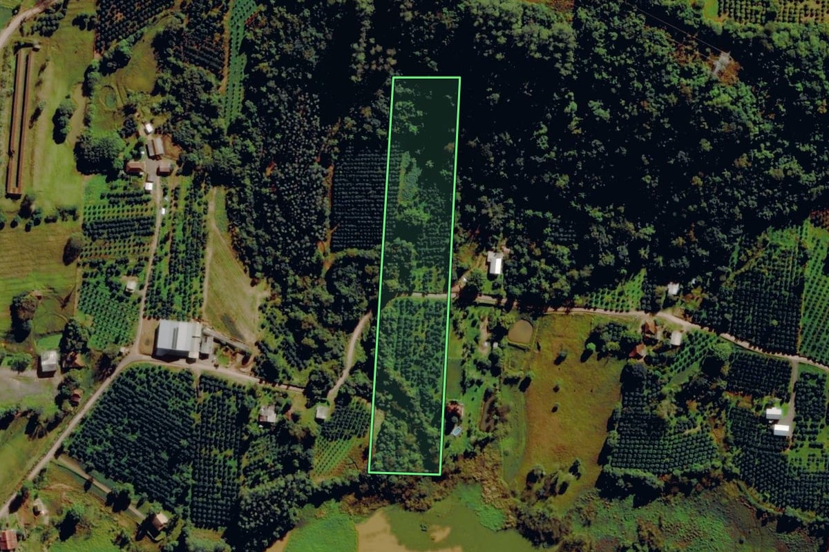 Imagem de satélite do imóvel rural em São José do Sul (RS), com o contorno declarado no CAR desenhado por cima.