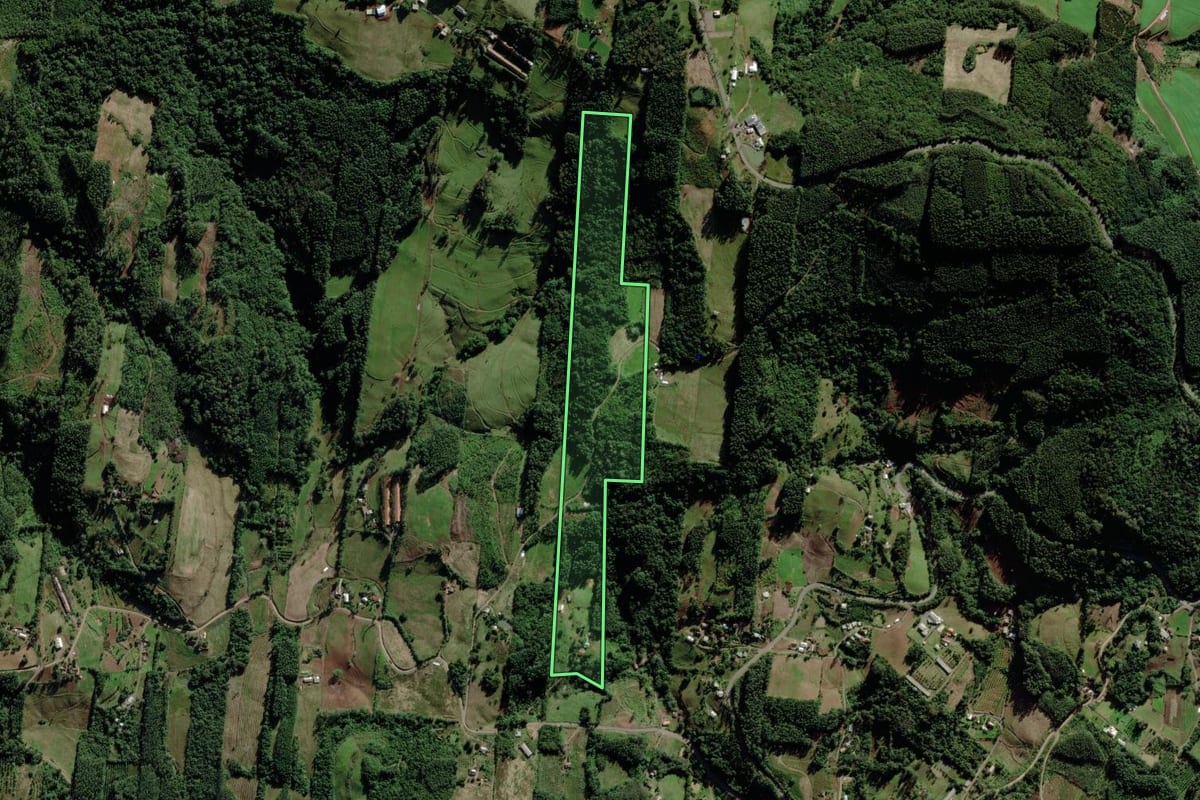 Imagem de satélite do imóvel rural em São José do Sul (RS), com o contorno declarado no CAR desenhado por cima.