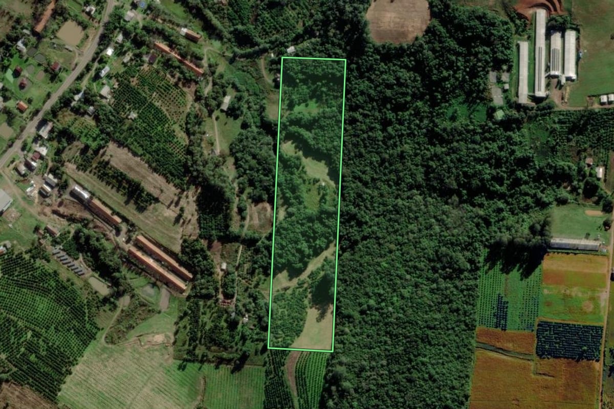 Imagem de satélite do imóvel rural em São José do Sul (RS), com o contorno declarado no CAR desenhado por cima.