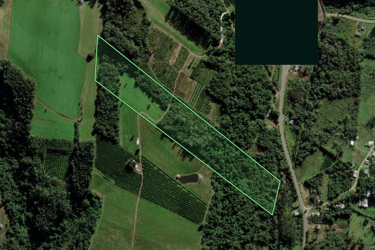 Imagem de satélite do imóvel rural em São José do Sul (RS), com o contorno declarado no CAR desenhado por cima.