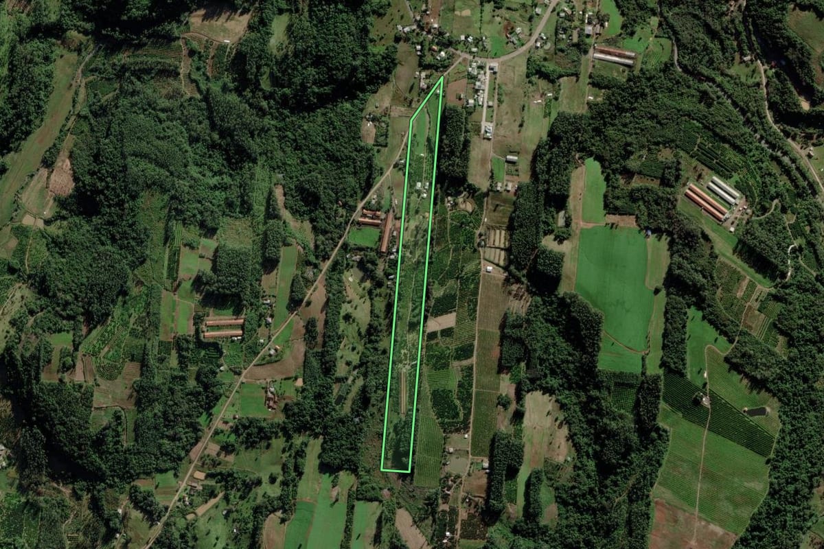 Imagem de satélite do imóvel rural em São José do Sul (RS), com o contorno declarado no CAR desenhado por cima.