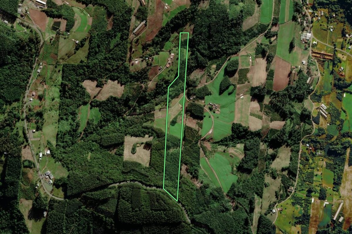 Imagem de satélite do imóvel rural em São José do Sul (RS), com o contorno declarado no CAR desenhado por cima.
