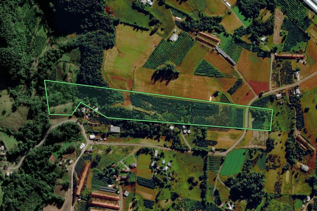 Imagem de satélite do imóvel rural em São José do Sul (RS), com o contorno declarado no CAR desenhado por cima.