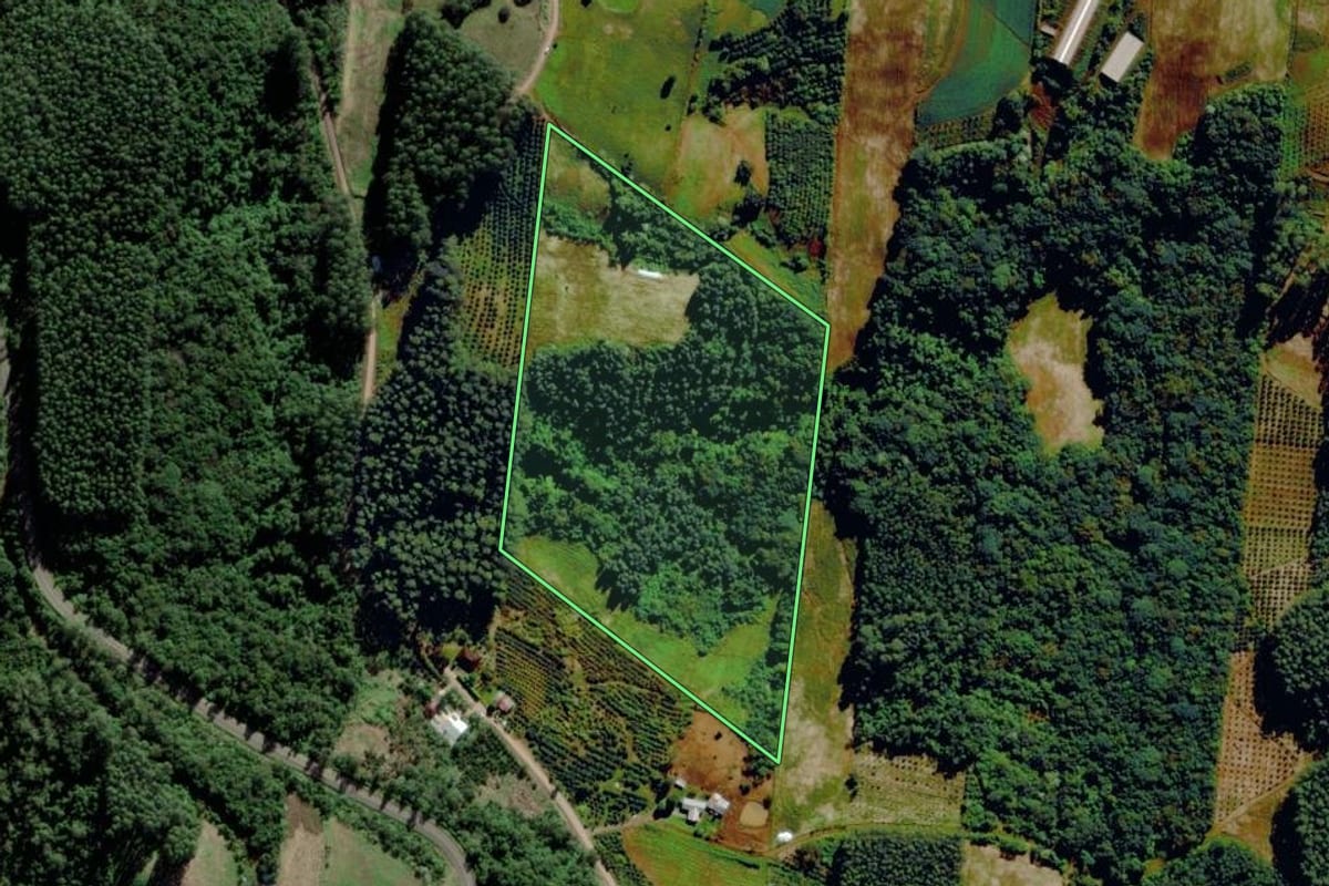 Imagem de satélite do imóvel rural em São José do Sul (RS), com o contorno declarado no CAR desenhado por cima.