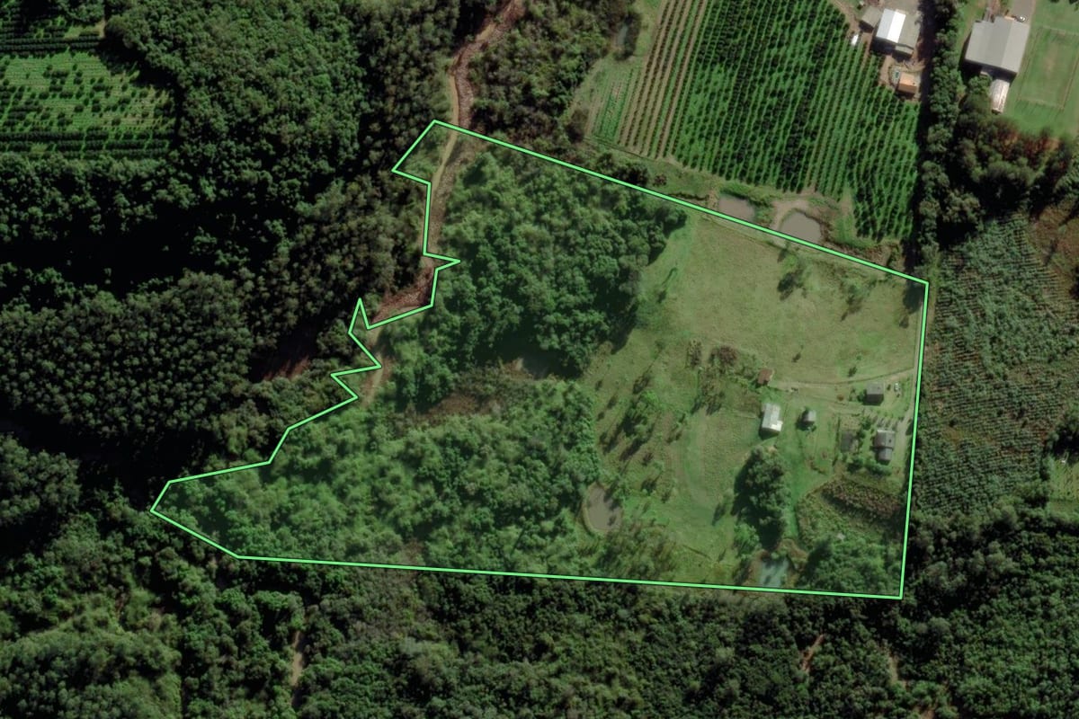 Imagem de satélite do imóvel rural em São José do Sul (RS), com o contorno declarado no CAR desenhado por cima.