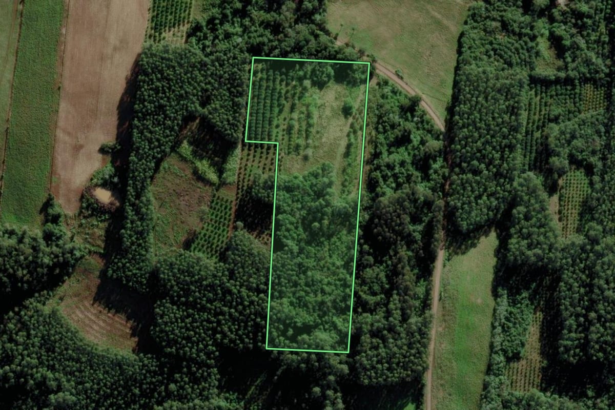 Imagem de satélite do imóvel rural em São José do Sul (RS), com o contorno declarado no CAR desenhado por cima.