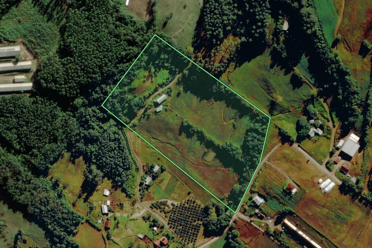 Imagem de satélite do imóvel rural em São José do Sul (RS), com o contorno declarado no CAR desenhado por cima.