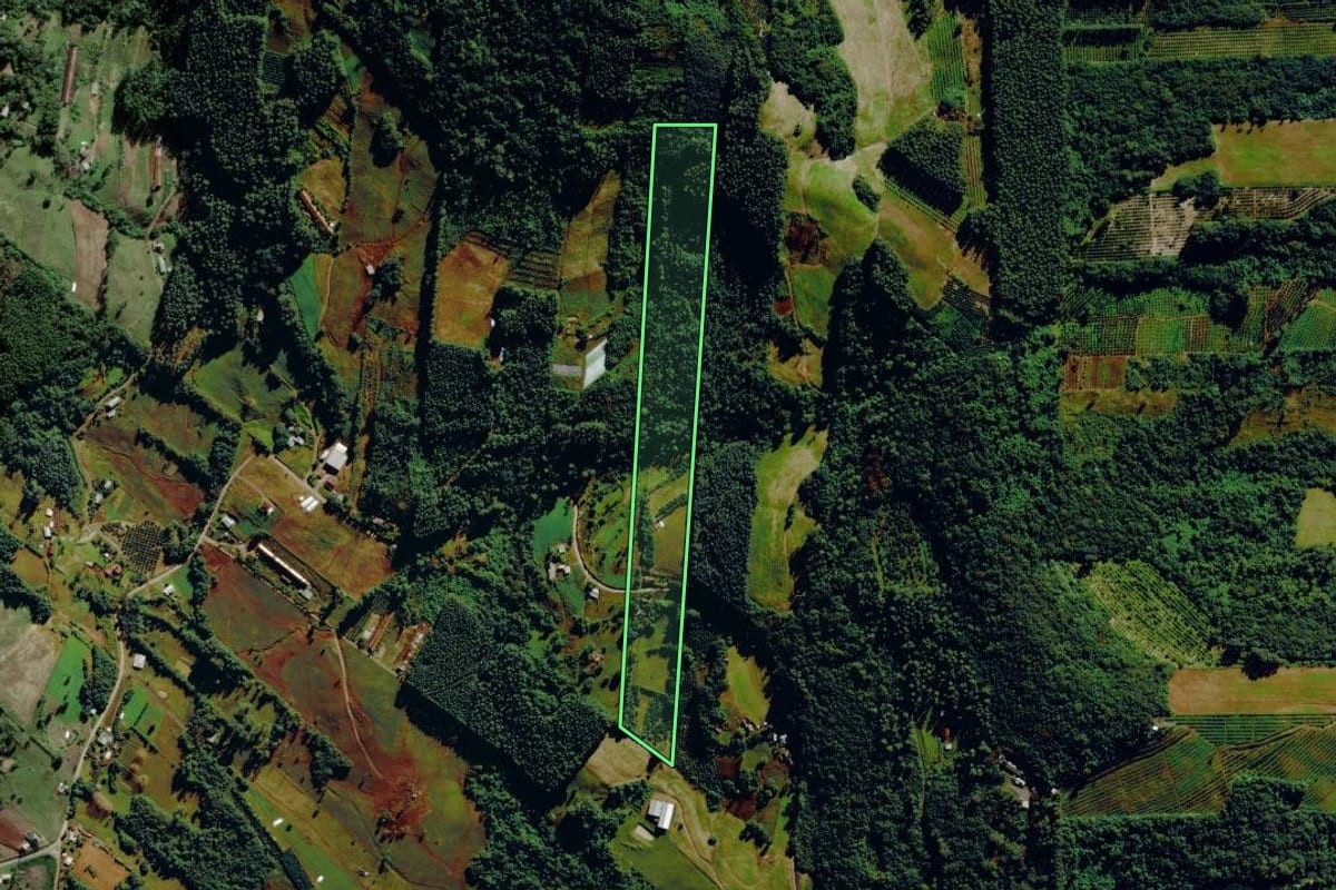 Imagem de satélite do imóvel rural em São José do Sul (RS), com o contorno declarado no CAR desenhado por cima.