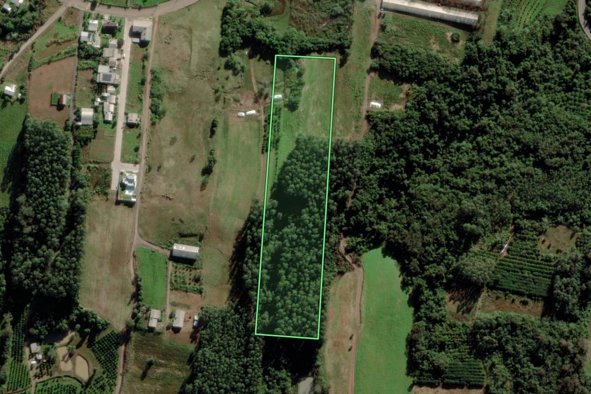 Imagem de satélite do imóvel rural em São José do Sul (RS), com o contorno declarado no CAR desenhado por cima.